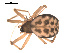  ( - 09PROBE-892)  @12 [ ] CreativeCommons - Attribution (2009) Gergin Blagoev, Centre for Biodiversity Genomics Centre for Biodiversity Genomics