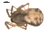  ( - 09PROBE-897)  @12 [ ] CreativeCommons - Attribution (2009) Gergin Blagoev, Centre for Biodiversity Genomics Centre for Biodiversity Genomics