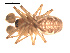  ( - 09PROBE-917)  @13 [ ] CreativeCommons - Attribution (2009) Gergin Blagoev, Centre for Biodiversity Genomics Centre for Biodiversity Genomics