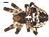  ( - 09PROBE-942)  @13 [ ] CreativeCommons - Attribution (2009) Gergin Blagoev, Centre for Biodiversity Genomics Centre for Biodiversity Genomics