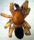 ( - CCDB-13330-G09)  @12 [ ] Copyright  E. Kuzmin 2011 Unspecified