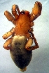  ( - CCDB-13330-G10)  @12 [ ] Copyright  E. Kuzmin 2011 Unspecified