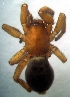  ( - CCDB-13330-G11)  @12 [ ] Copyright  E. Kuzmin 2011 Unspecified