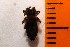  ( - BES-40)  @12 [ ] Unspecified (default): All Rights Reserved  Unspecified Unspecified