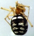 ( - CCDB-13330-E04)  @12 [ ] Copyright  E. Kuzmin 2011 Unspecified