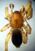  ( - CCDB-13330-F09)  @12 [ ] Copyright  E. Kuzmin 2011 Unspecified