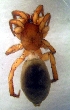  ( - CCDB-13330-F10)  @12 [ ] Copyright  E. Kuzmin 2011 Unspecified