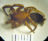  ( - STEP-34)  @13 [ ] Unspecified (default): All Rights Reserved  Unspecified Unspecified