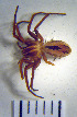  ( - STEP-43)  @12 [ ] Unspecified (default): All Rights Reserved  Unspecified Unspecified