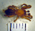  ( - STEP-48)  @12 [ ] Unspecified (default): All Rights Reserved  Unspecified Unspecified