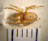  ( - STEP-88)  @13 [ ] Unspecified (default): All Rights Reserved  Unspecified Unspecified
