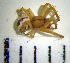  ( - STEP-101)  @12 [ ] Unspecified (default): All Rights Reserved  Unspecified Unspecified