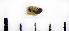  ( - STEP-146)  @12 [ ] Unspecified (default): All Rights Reserved  Unspecified Unspecified