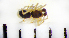  ( - STEP-148)  @12 [ ] Unspecified (default): All Rights Reserved  Unspecified Unspecified