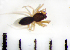  ( - STEP-149)  @12 [ ] Unspecified (default): All Rights Reserved  Unspecified Unspecified