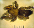  ( - STEP-189)  @12 [ ] Unspecified (default): All Rights Reserved  Unspecified Unspecified