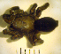  ( - STEP-190)  @12 [ ] Unspecified (default): All Rights Reserved  Unspecified Unspecified