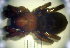  ( - STEP-193)  @12 [ ] Unspecified (default): All Rights Reserved  Unspecified Unspecified