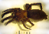  ( - STEP-194)  @12 [ ] Unspecified (default): All Rights Reserved  Unspecified Unspecified