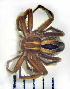  ( - STEP-230)  @12 [ ] Unspecified (default): All Rights Reserved  Unspecified Unspecified
