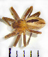  ( - STEP-231)  @13 [ ] Unspecified (default): All Rights Reserved  Unspecified Unspecified
