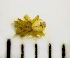 ( - STEP-236)  @12 [ ] Unspecified (default): All Rights Reserved  Unspecified Unspecified