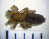  ( - STEP-270)  @13 [ ] Unspecified (default): All Rights Reserved  Unspecified Unspecified