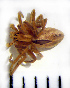  ( - STEP-321)  @12 [ ] Unspecified (default): All Rights Reserved  Unspecified Unspecified