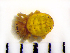  ( - STEP-355)  @13 [ ] Unspecified (default): All Rights Reserved  Unspecified Unspecified