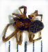 ( - STEP-360)  @13 [ ] Unspecified (default): All Rights Reserved  Unspecified Unspecified