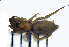  ( - STEP-390)  @12 [ ] Unspecified (default): All Rights Reserved  Unspecified Unspecified