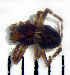  ( - STEP-462)  @13 [ ] Unspecified (default): All Rights Reserved  Unspecified Unspecified