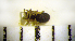  ( - CCDB-12175-G06)  @12 [ ] Copyright  Y. Alekseenko 2011 Unspecified