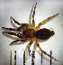  ( - CCDB-12175-G10)  @13 [ ] Copyright  Y. Alekseenko 2011 Unspecified