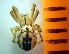 ( - III-EL-87)  @12 [ ] Unspecified (default): All Rights Reserved  Unspecified Unspecified