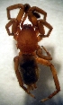  ( - CCDB-12174-C03)  @12 [ ] Copyright  E. Kuzmin 2011 Unspecified