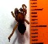  ( - SM-14)  @12 [ ] Unspecified (default): All Rights Reserved  Unspecified Unspecified