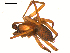  ( - 10BGSPI01-D03)  @12 [ ] CreativeCommons - Attribution (2010) Gergin Blagoev, Centre for Biodiversity Genomics Centre for Biodiversity Genomics