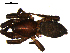  ( - 10BGSPI03-A10)  @11 [ ] CreativeCommons - Attribution (2010) Gergin Blagoev, Centre for Biodiversity Genomics Centre for Biodiversity Genomics