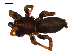 ( - 10BGSPI03-B10)  @11 [ ] CreativeCommons - Attribution (2010) Gergin Blagoev, Centre for Biodiversity Genomics Centre for Biodiversity Genomics