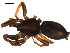  ( - 10BGSPI03-C10)  @12 [ ] CreativeCommons - Attribution (2010) Gergin Blagoev, Centre for Biodiversity Genomics Centre for Biodiversity Genomics