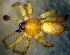  ( - CCDB-10206-B01)  @12 [ ] Copyright  A. Nadolny 2011 Unspecified