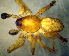  ( - CCDB-10206-B02)  @12 [ ] Copyright  A. Nadolny 2011 Unspecified