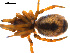  ( - BGSPI-01-C12)  @12 [ ] CreativeCommons - Attribution (2009) Gergin Blagoev, Centre for Biodiversity Genomics Centre for Biodiversity Genomics