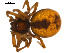  ( - BGSPI-01-E09)  @12 [ ] CreativeCommons - Attribution (2009) Gergin Blagoev, Centre for Biodiversity Genomics Centre for Biodiversity Genomics
