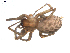  ( - BIOUG00041-G04)  @12 [ ] Copyright  G. Blagoev 2010 Unspecified