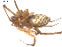  ( - BIOUG00160-G07)  @12 [ ] Copyright  G. Blagoev 2010 Unspecified