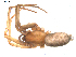  ( - BIOUG00160-G08)  @12 [ ] Copyright  G. Blagoev 2010 Unspecified