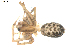  ( - BIOUG00160-G11)  @12 [ ] Copyright  G. Blagoev 2010 Unspecified