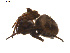  ( - BIOUG00887-G07)  @13 [ ] Copyright  G. Blagoev 2011 Unspecified